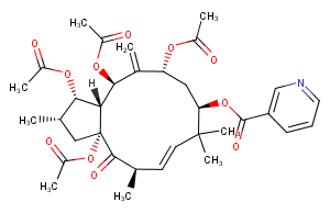 3,5,7,15-Tetraacetoxy-9-nicotinoyloxy-6(17),11-jatrophadien-14-one