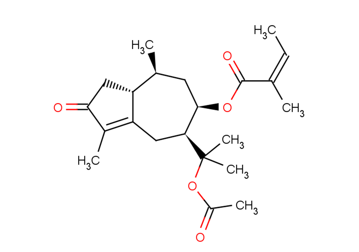 Torilin