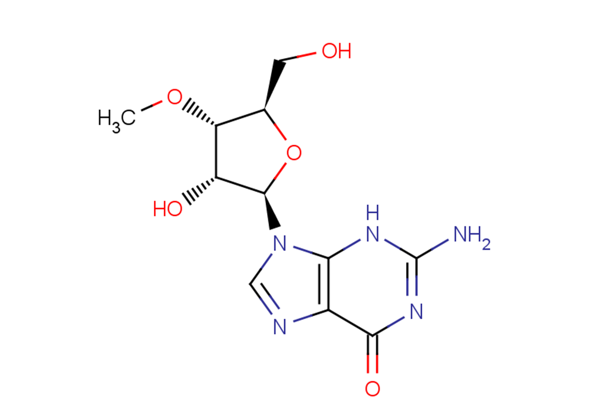 3’OMethyl guanosine Endogenous Metabolite TargetMol