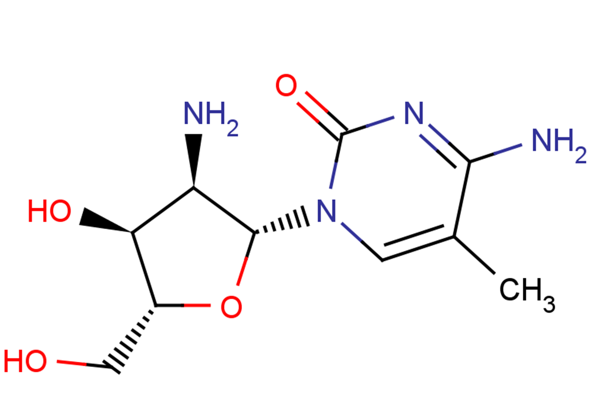 2’-Amino-2’-deoxy-5-methylcytidine | | TargetMol