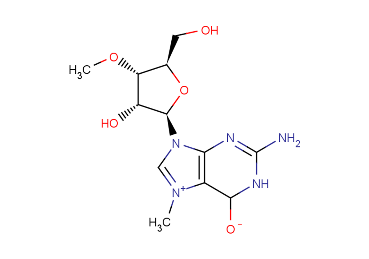 N7-Methyl-3’-O-methyl guanosine Chemical Structure