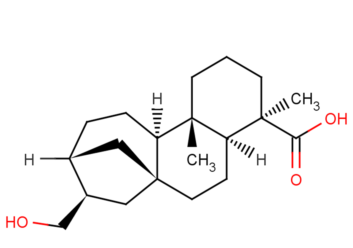 Siegeskaurolic acid Chemical Structure