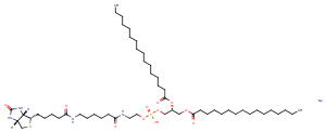 1,2-Dipalmitoyl-sn-glycero-3-PE-N-(cap biotin) (sodium salt) Chemical Structure