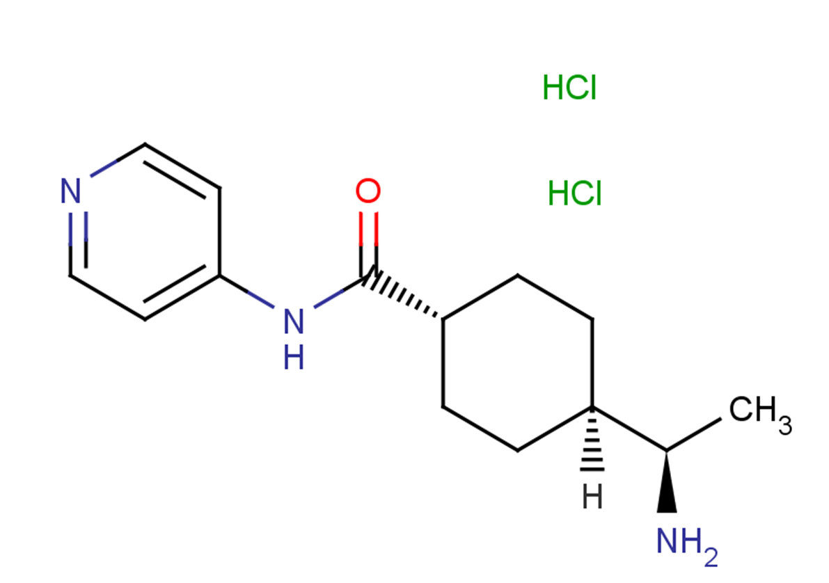 Y-27632 dihydrochloride Chemical Structure