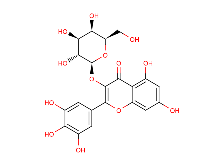 Myricetin 3-O-galactoside