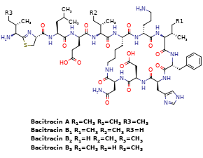 Bacitracin Chemical Structure