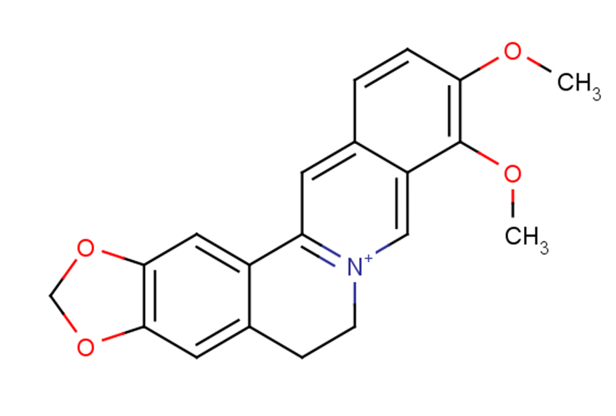 Berberine