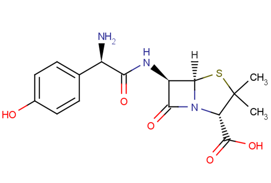 Amoxicillin Chemical Structure