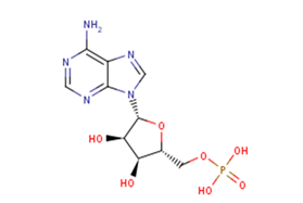 Adenosine monophosphate Chemical Structure