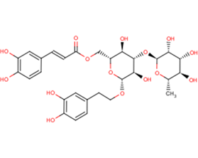 Isoacteoside