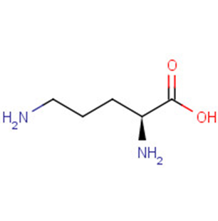 L-Ornithine