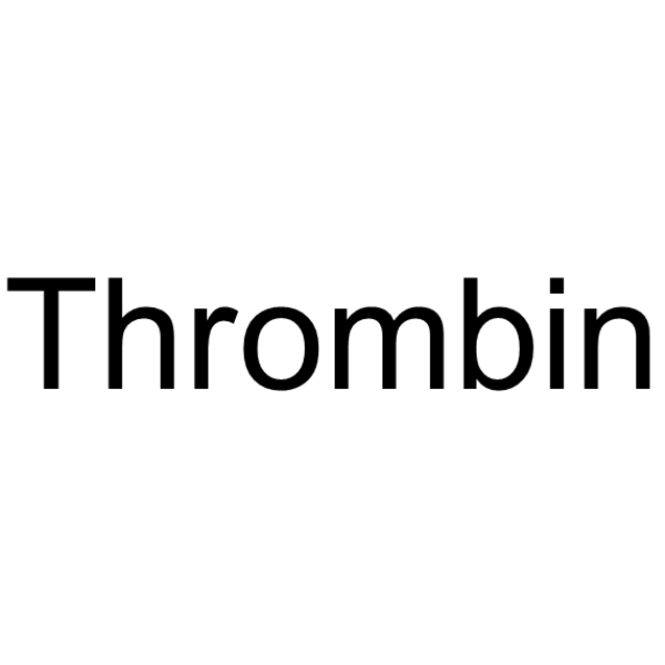 Thrombin (MW 37kDa)