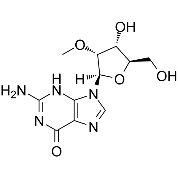 2’-OMe-Guanosine Chemical Structure