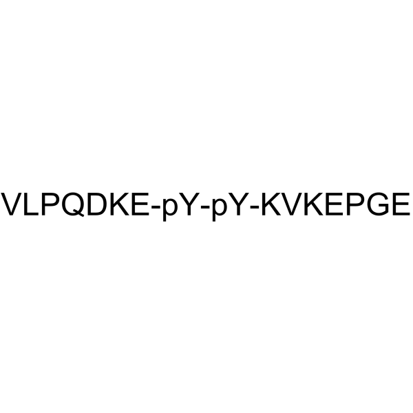 Tyrosine Protein Kinase JAK 2 (Phospho-Tyr8, 9)