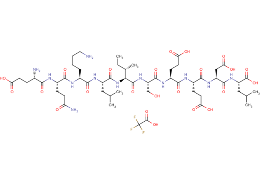 c-Myc Peptide Trifluoroacetate