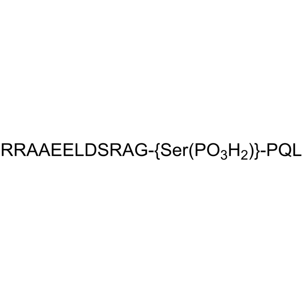 2B-(SP)