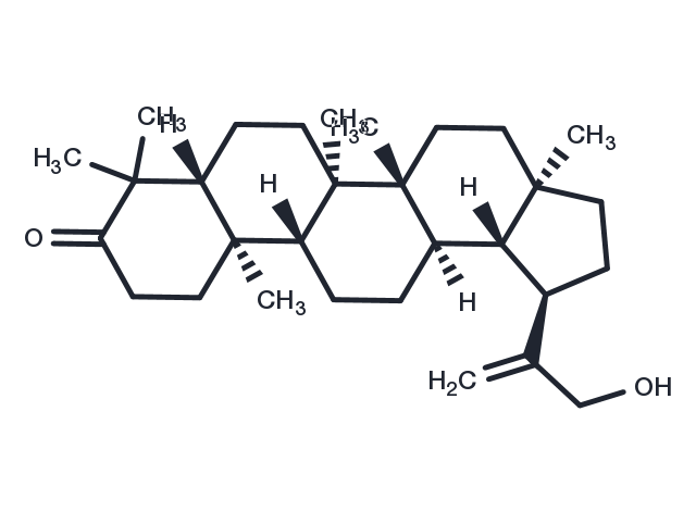 30-Hydroxylup-20(29)-en-3-one Chemical Structure