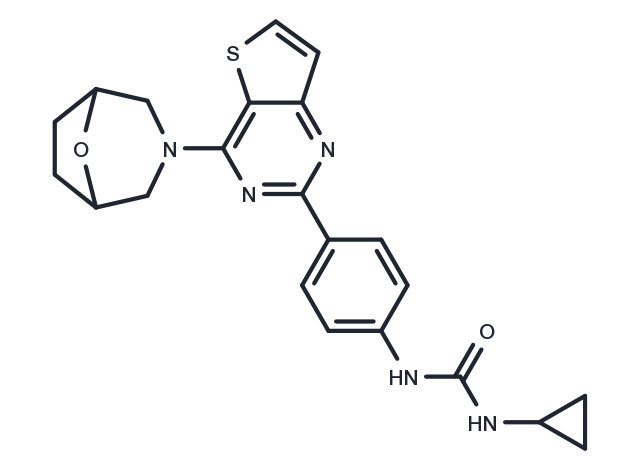 mTOR inhibitor 9e Chemical Structure