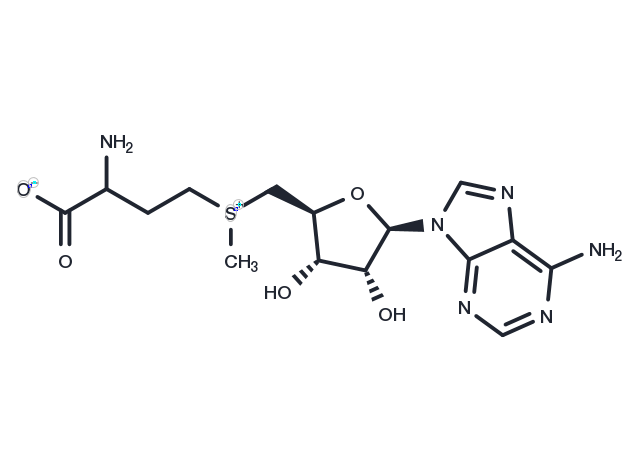 S-Adenosyl-DL-Methionine