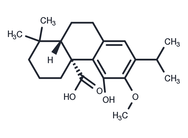 12-O-Methylcarnosic acid Chemical Structure