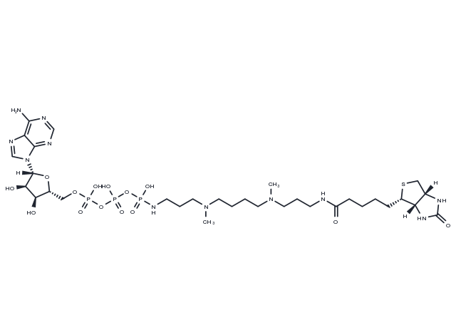 ATP-polyamine-biotin Chemical Structure