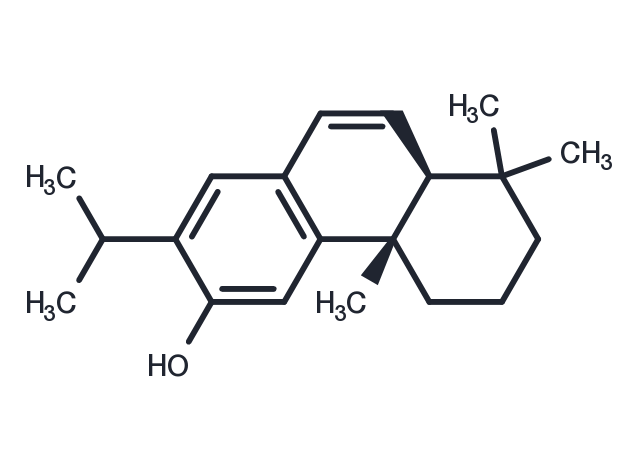 6,7-Dehydroferruginol Chemical Structure