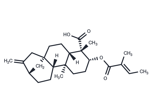 ent-3Beta-Tigloyloxykaur-16-en-19-oic acid