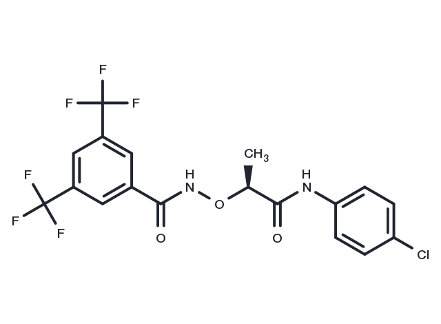 (S)-CCG-1423 Chemical Structure