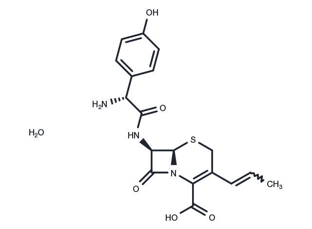 Cefprozil monohydrate Chemical Structure