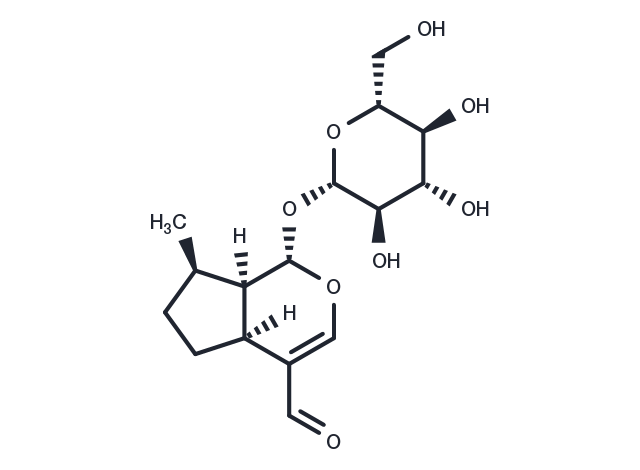 Boschnaloside Chemical Structure