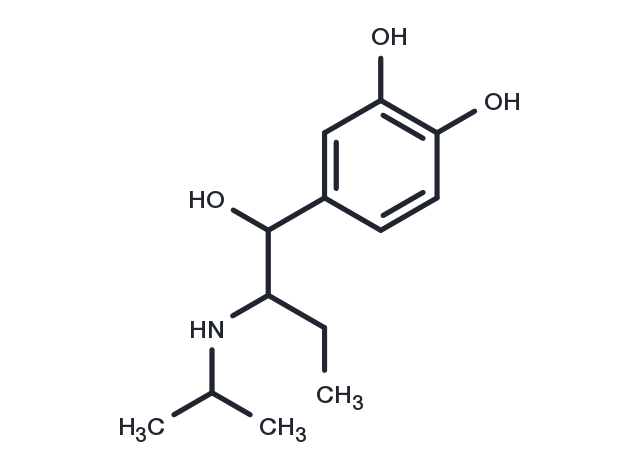 Isoetharine Chemical Structure