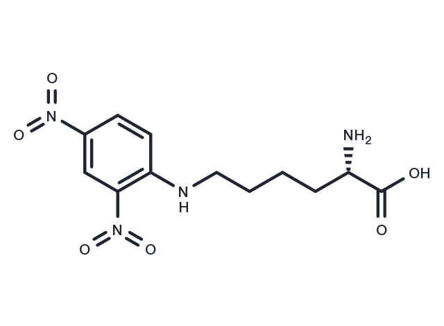 epsilon-Dinitrophenyllysine Chemical Structure