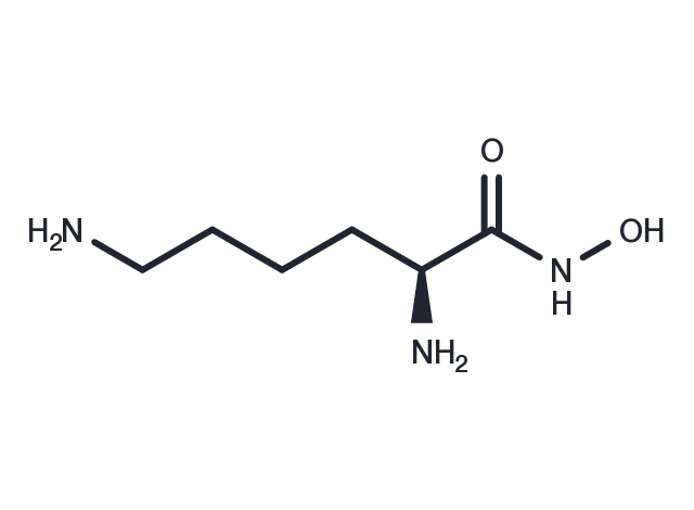 Lysine hydroxamate Chemical Structure