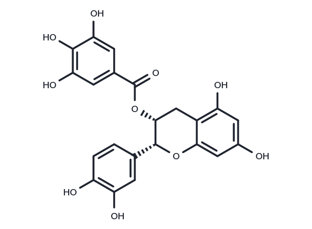 (-)-Epicatechin gallate Chemical Structure