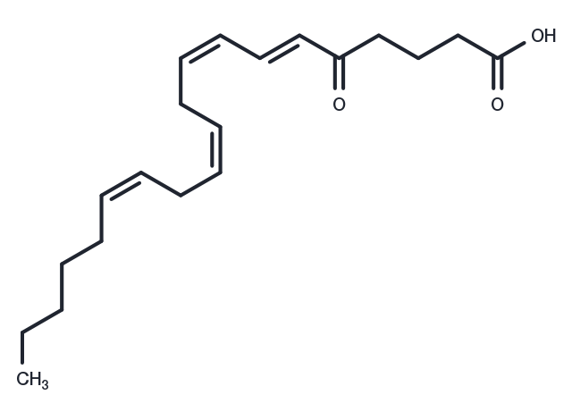 5-OxoETE Chemical Structure
