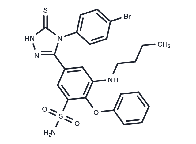 COX-2-IN-24 Chemical Structure