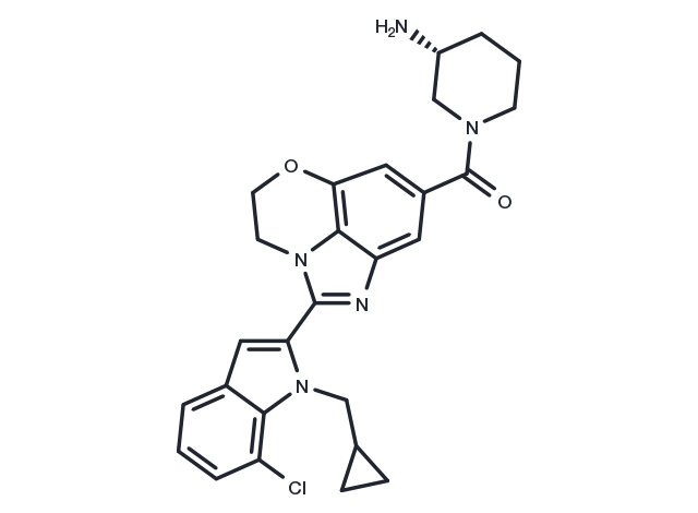 PAD-IN-2 Chemical Structure
