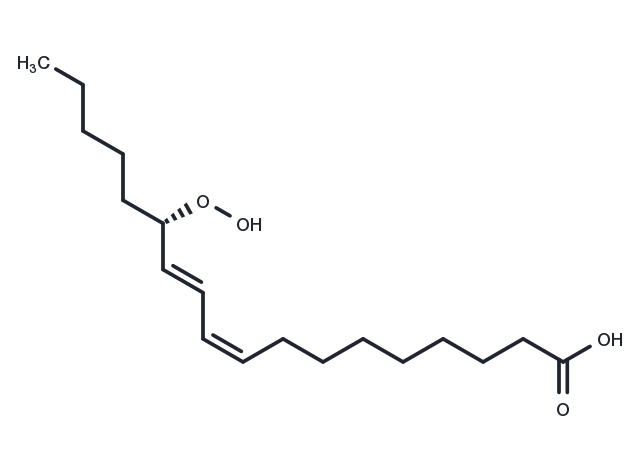13(S)-HpODE Chemical Structure