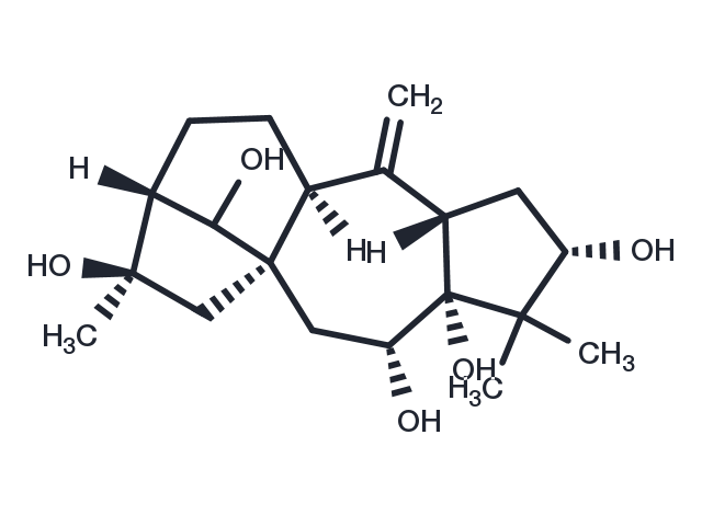 Grayanotoxin II Chemical Structure