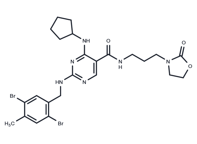 CASK-IN-1 Chemical Structure