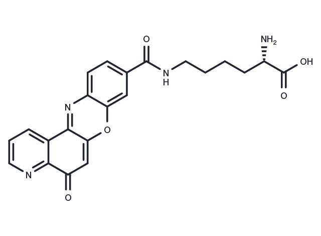 Topoisomerase IIα-IN-2 Chemical Structure