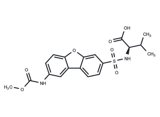 MMP-12 Inhibitor