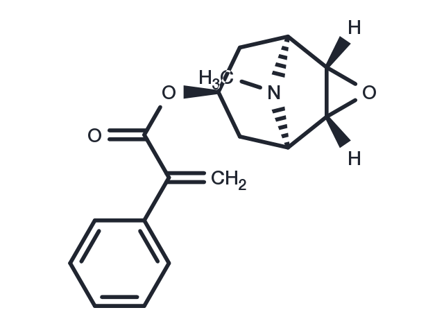 Apohyoscine Chemical Structure
