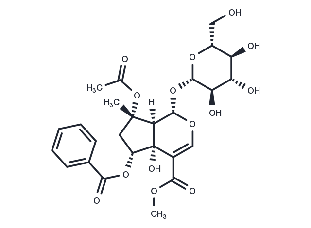 6-O-Benzoylphlorigidoside B Chemical Structure
