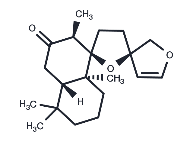Prehispanolone Chemical Structure