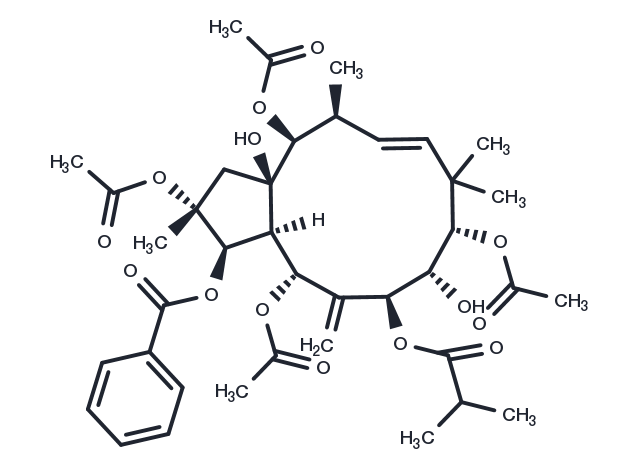 Jatrophane 4 Chemical Structure