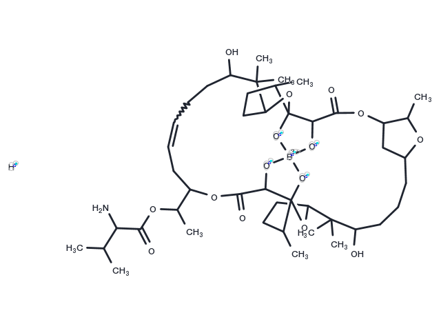 Boromycin Chemical Structure