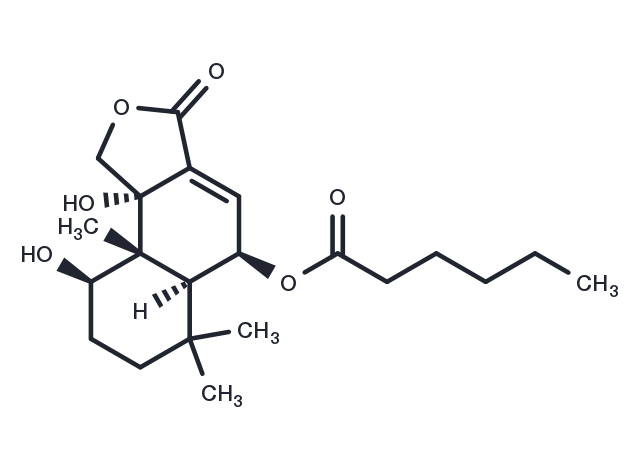 Isonanangenine B Chemical Structure