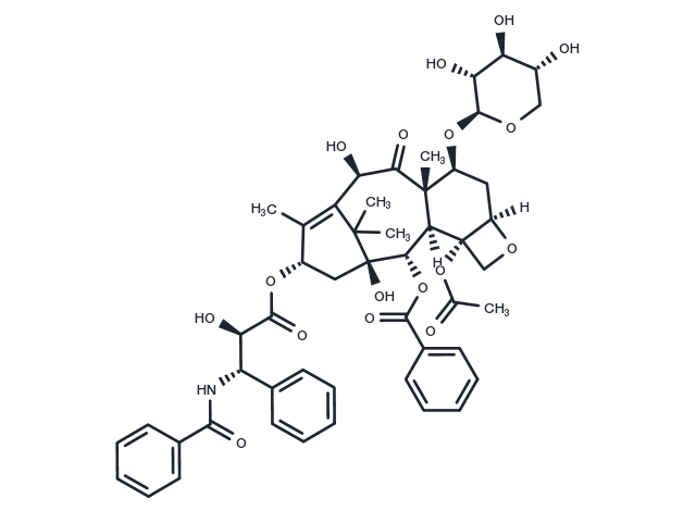 10-Deacetyl-7-xylosyl paclitaxel