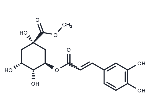 methyl chlorogenate